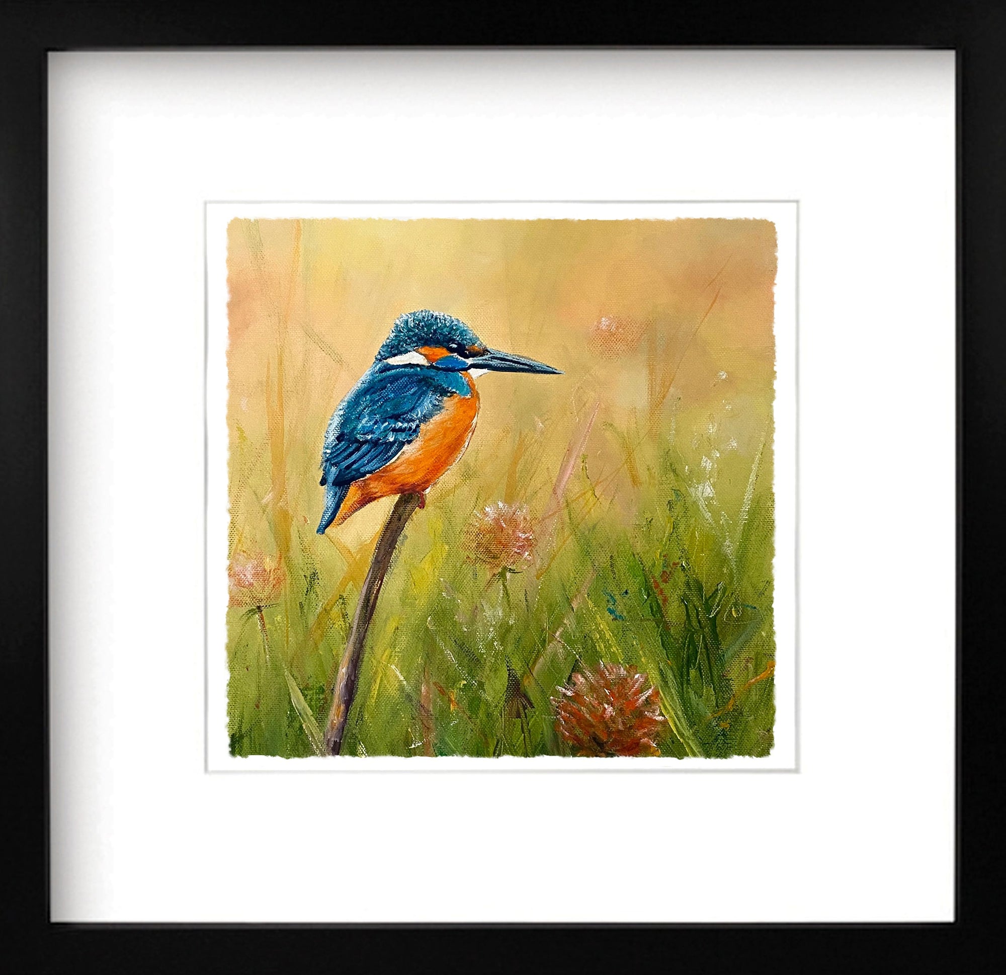 Kingfisher