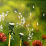 Dandelion