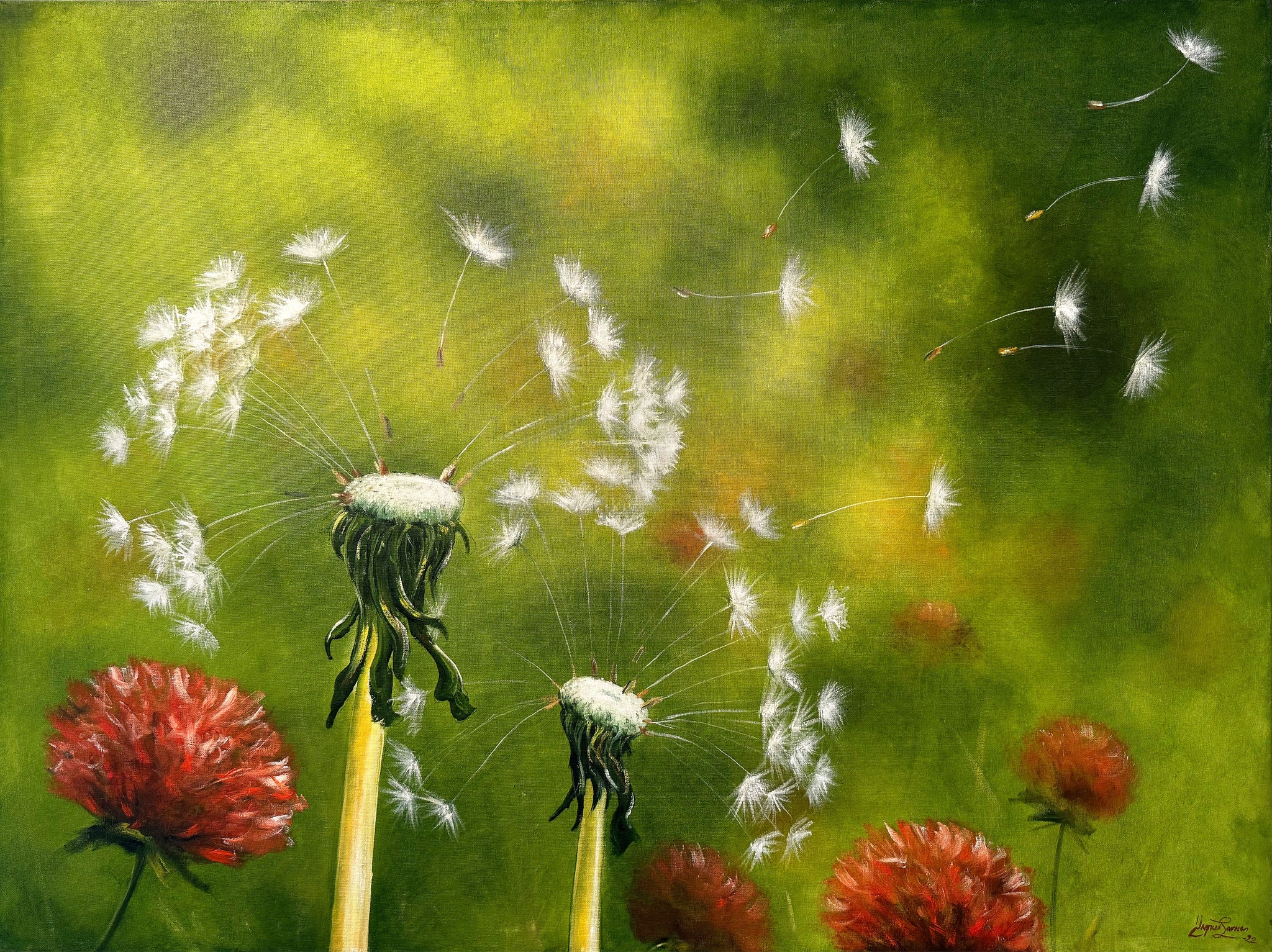 Dandelion