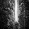 Bridalvaiel Fall Yosemite BW