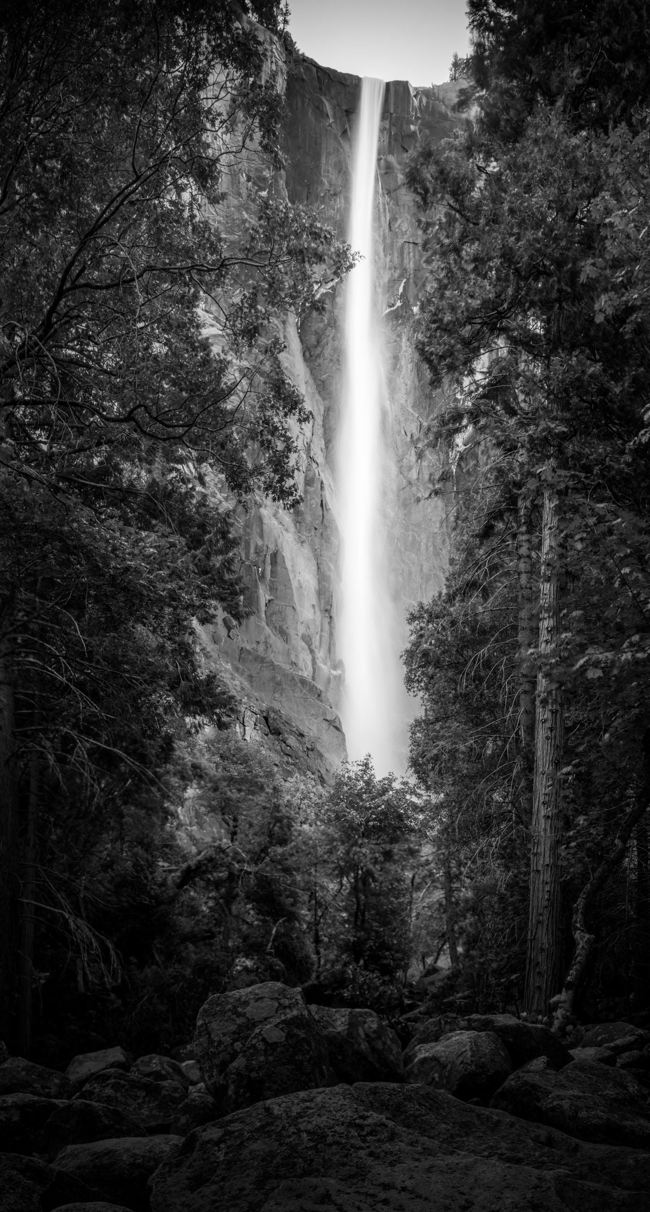Bridalvaiel Fall Yosemite BW