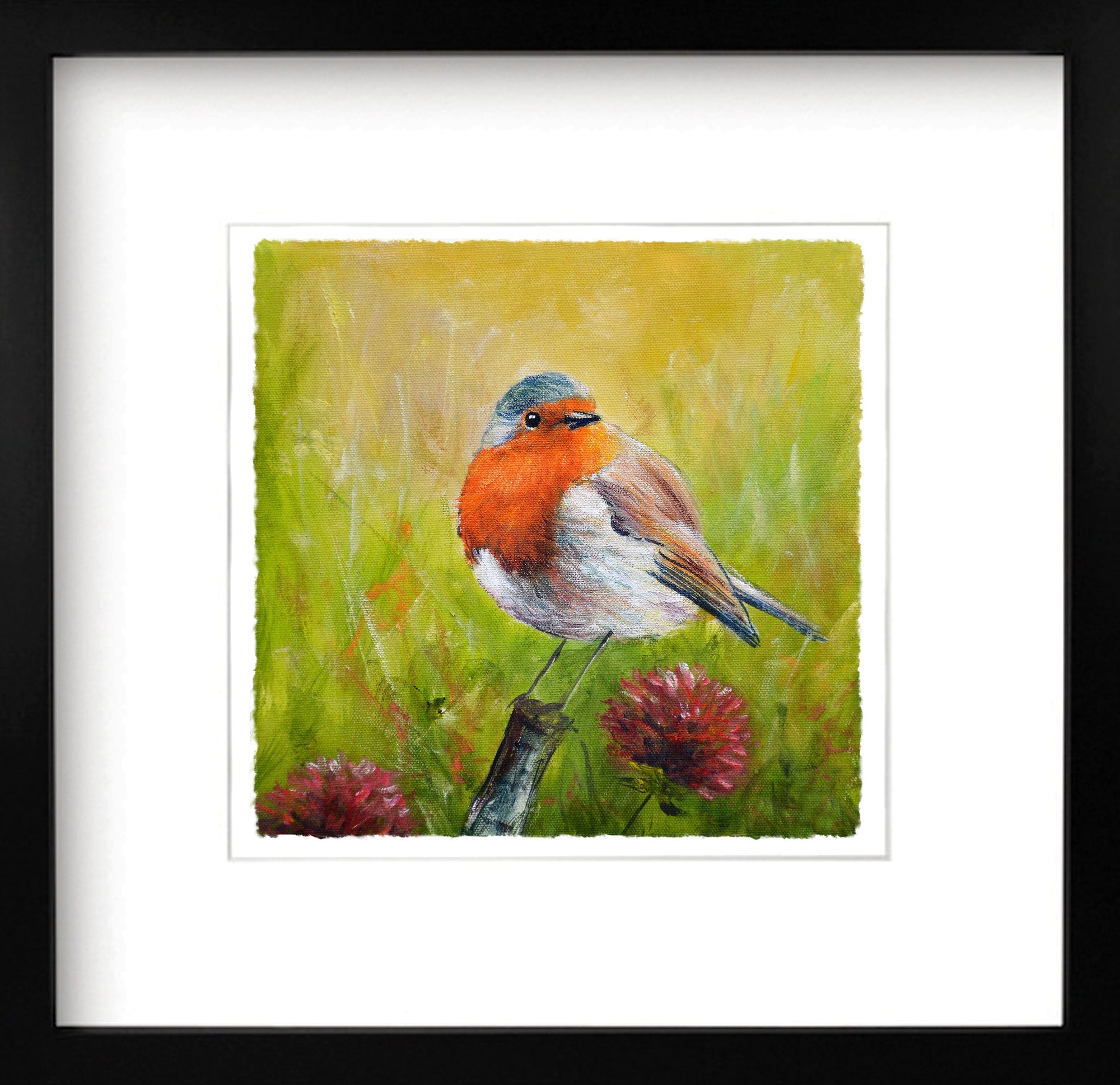 Robin